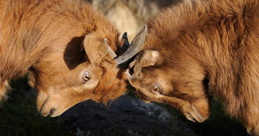 How To Dispute Errors On Your Credit Report